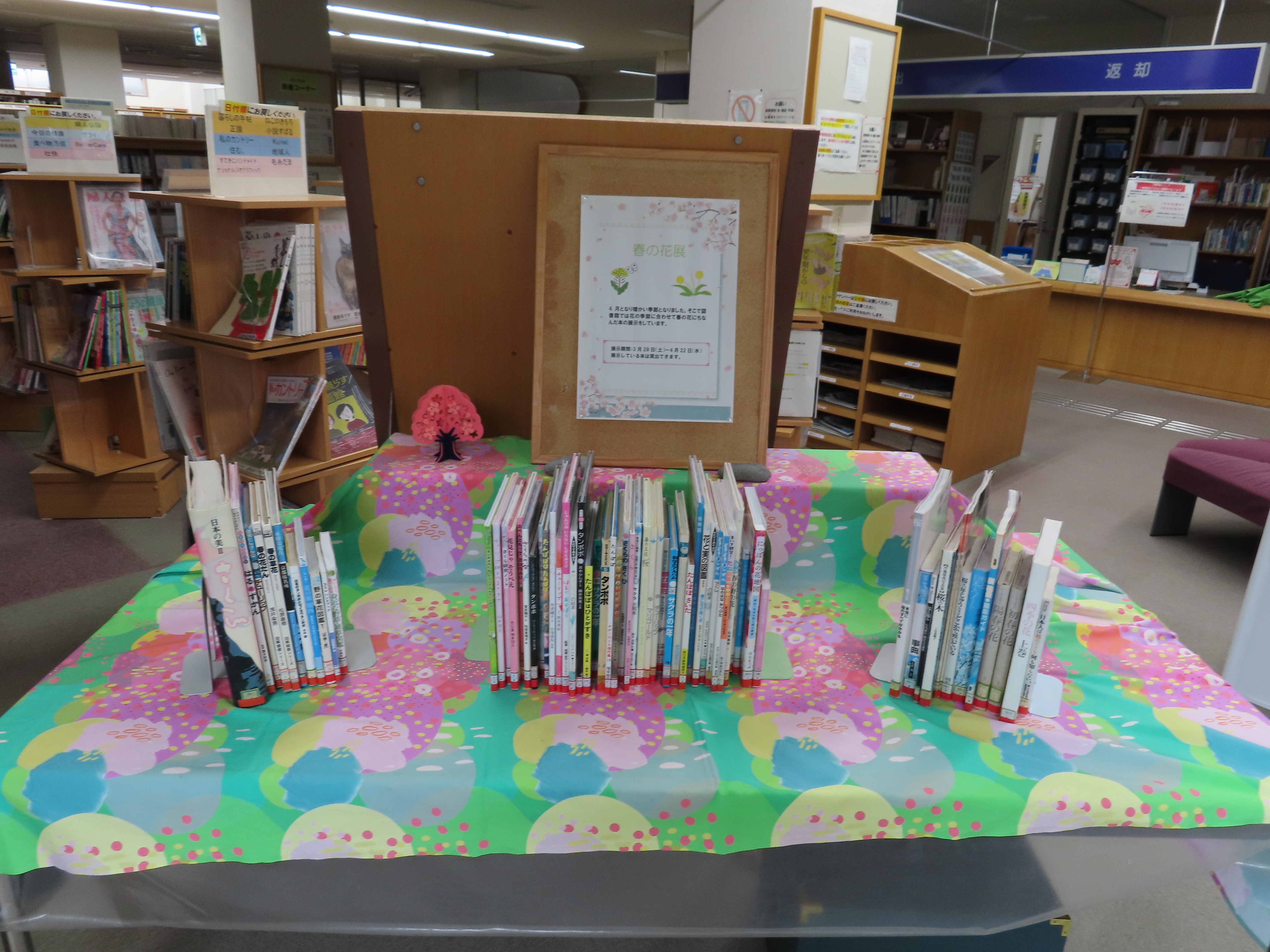 春の花をテーマとした展示